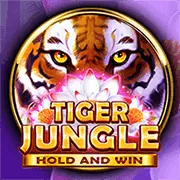 Hình ảnh tổng hợp các sản phẩm cá cược nổi bật tại 32win17: thể thao, casino, nổ hũ, bắn cá, đá gà